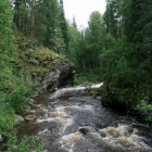 Урочище Ларкина